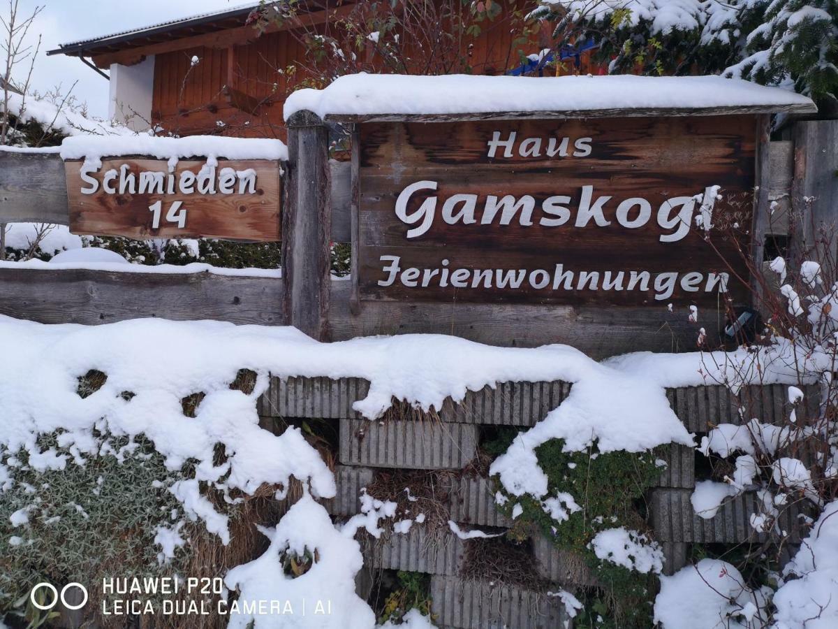 شقة Haus Gamskogl نيوستيف ام ستوبيتا المظهر الخارجي الصورة